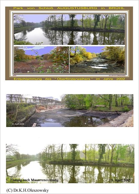 033 Entschlammung parkweiher